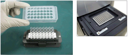 Sample Result