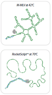 Sample Result