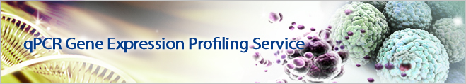 Banner_Gene Expression