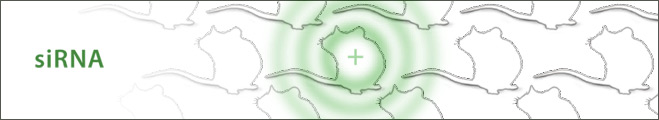 srnai_image