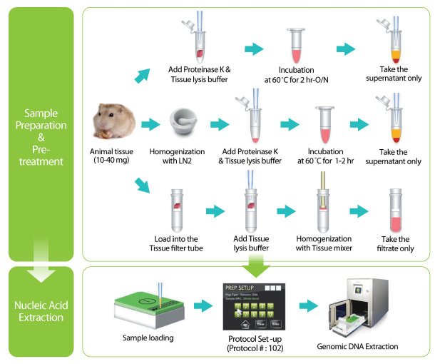 Tissue_Genomic_DNA_Kit