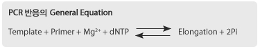 enzyme Hotstart figure1