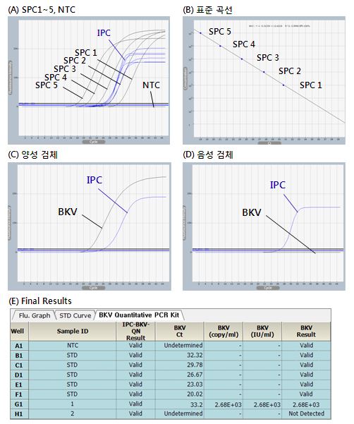 BKV_figure1