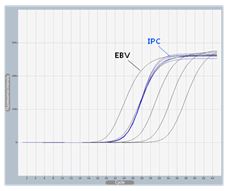  figure1 