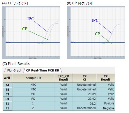 CPN_figure1