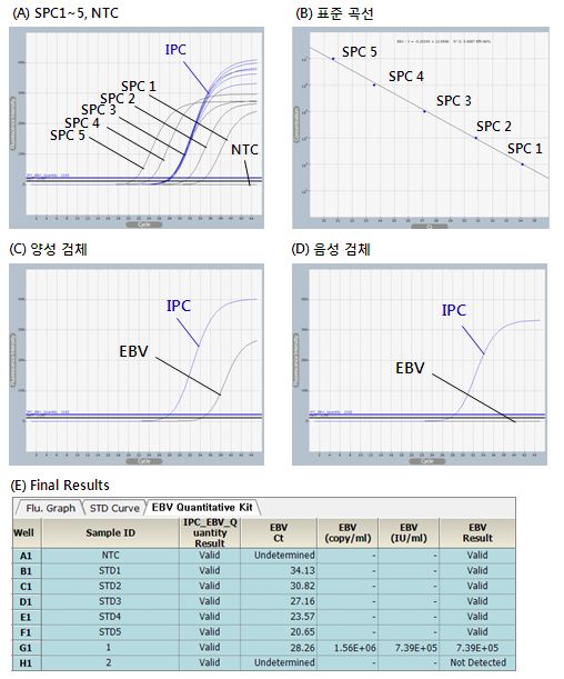 EBV_figure1