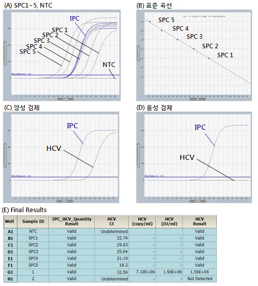 HCV_figure1