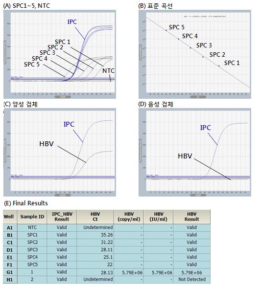 HPV_figure1