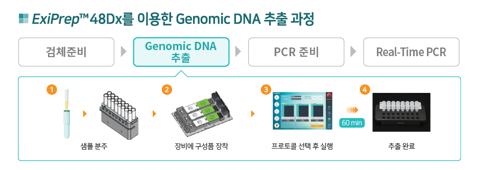 genomic DNA extraction