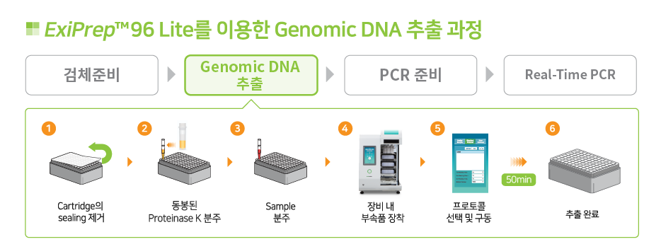 genomic DNA extraction workflow