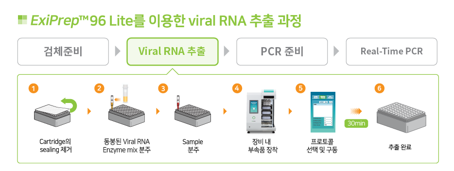 fast viral RNA extraction