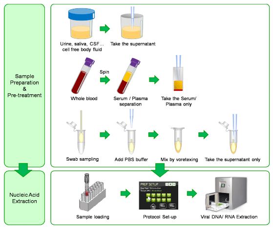 ExiPrep™ Dx Viral DNA/RNA Kit