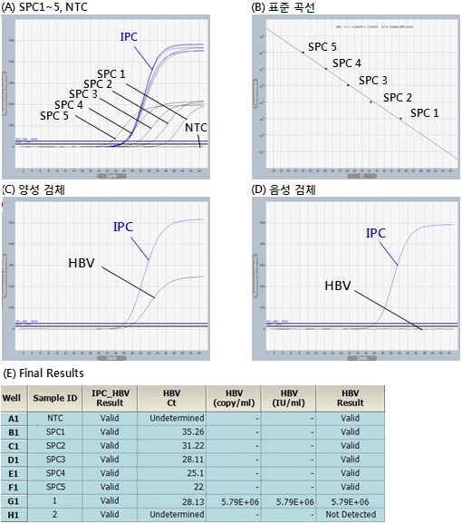 HBV_figure1