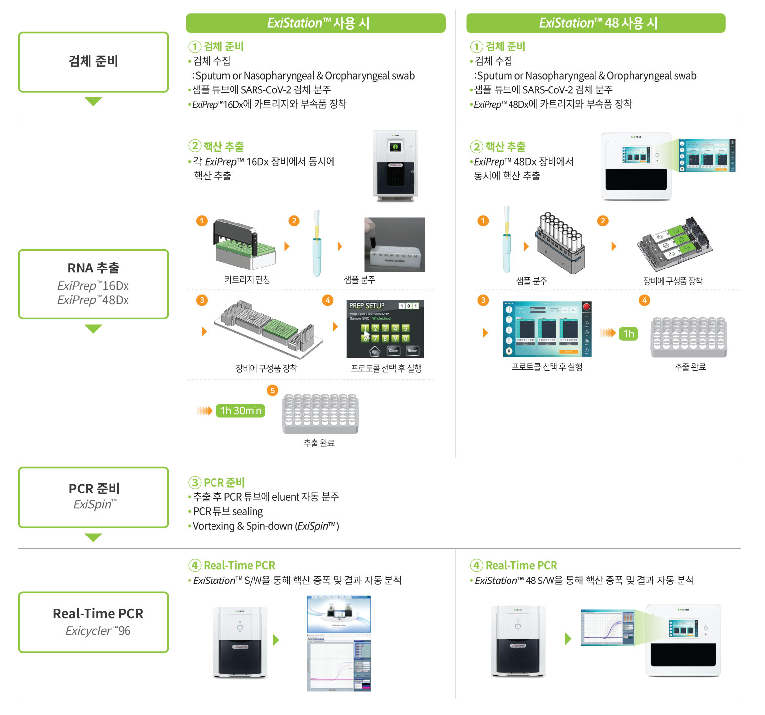 workflow, COVID-19, molecular diagnostics for COVID-19