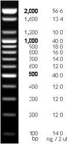 figure1