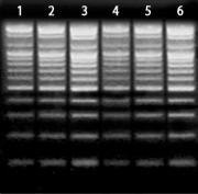 figure2