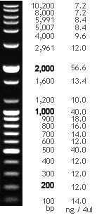figure1