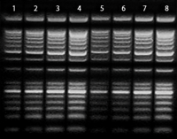 figure2