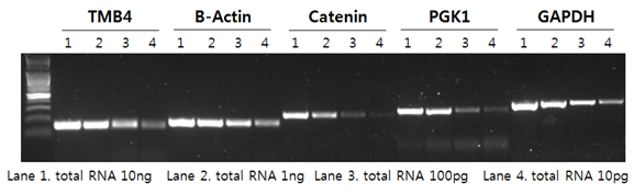 AccuPower Dual-Hotstart™ RT-PCR(with UDG) PreMix