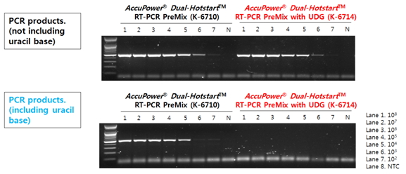 AccuPower Dual-Hotstart™ RT-PCR(with UDG) PreMix