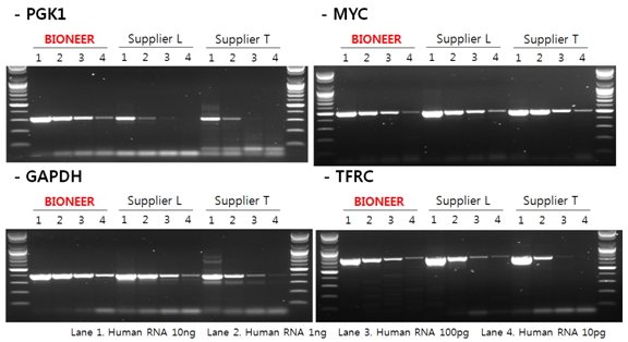 AccuPower Dual-Hotstart™ RT-PCR PreMix