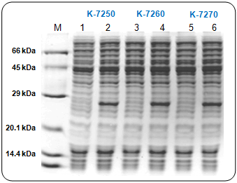 figure1