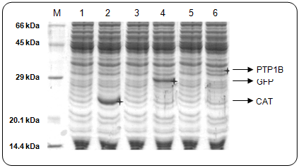 figure2