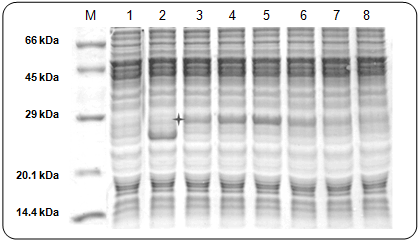 figure3