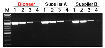 AccuPower GoldHotstart Taq PCR PreMix