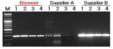 AccuPower GoldHotstart Taq PCR PreMix