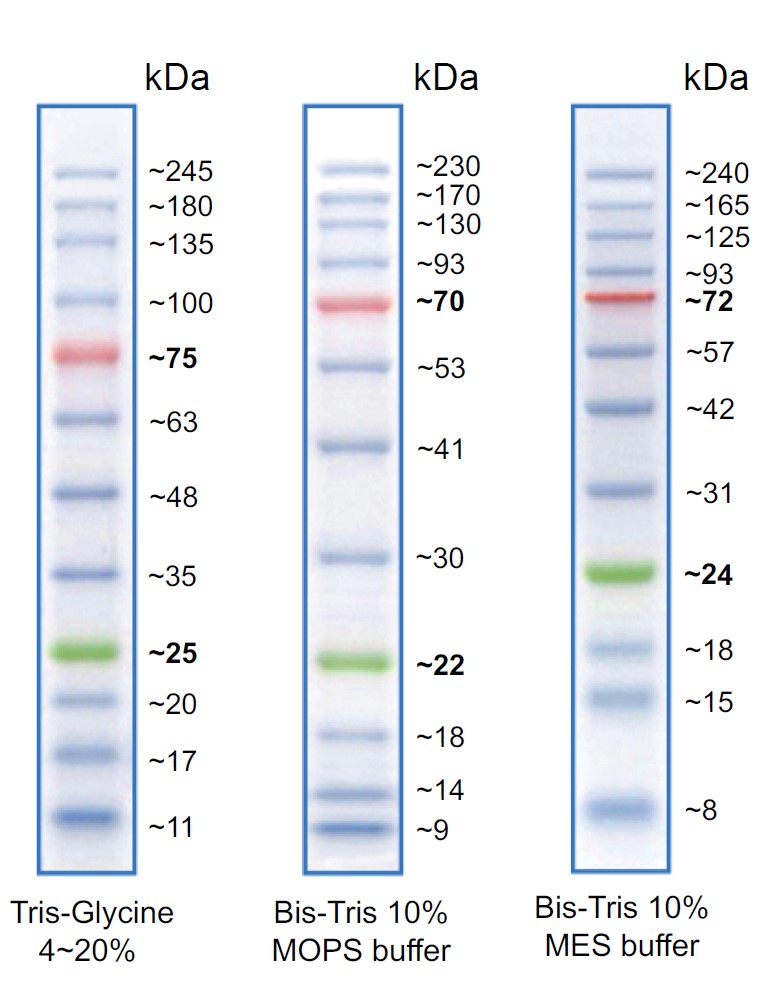 figure1