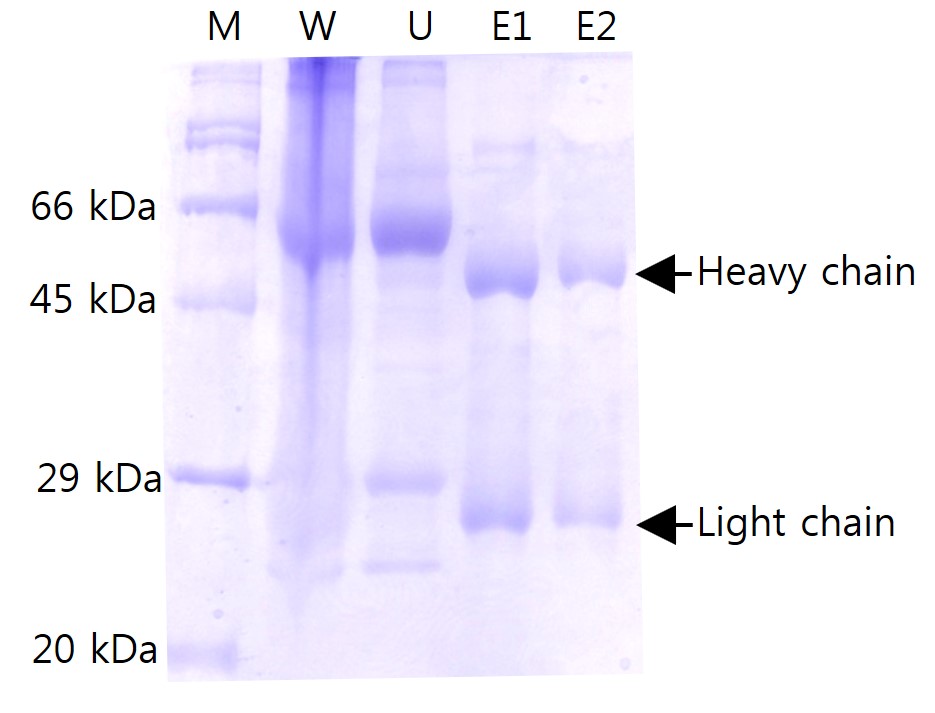 figure2