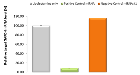 figure1