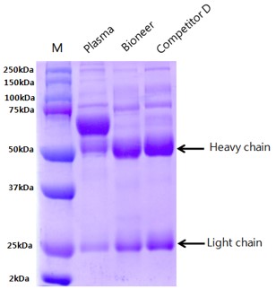 figure1