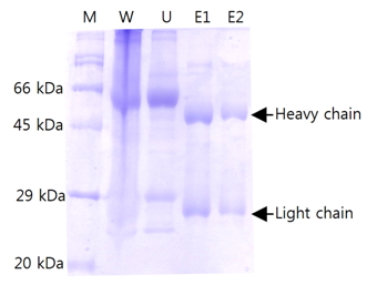 figure2