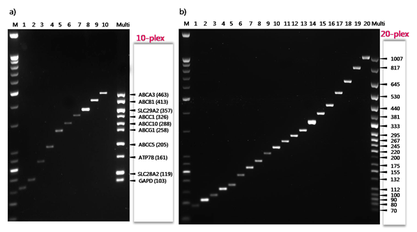 figure1