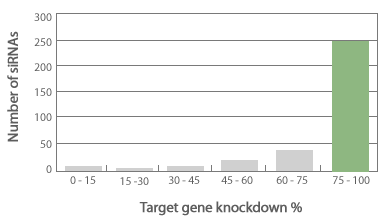 Predesigned figure3