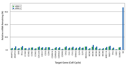 Predesigned figure4