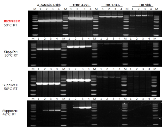 figure2