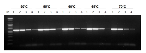 figure3