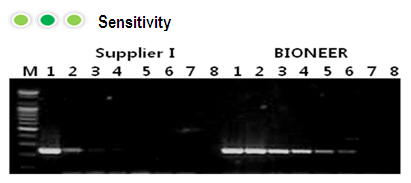 rt pcr figure1