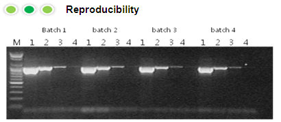 rt pcr figure1