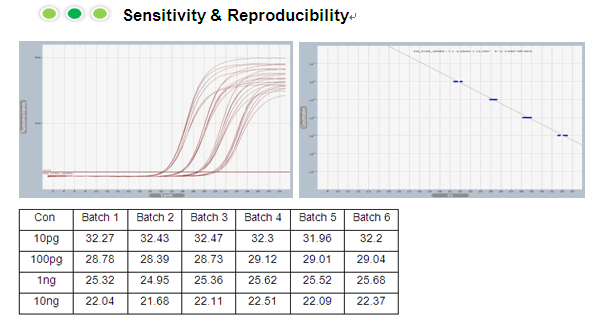 rt figure1