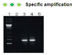 rt figure2