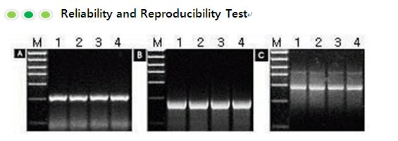 rt figure3