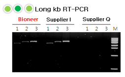 figure2