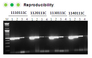 figure2