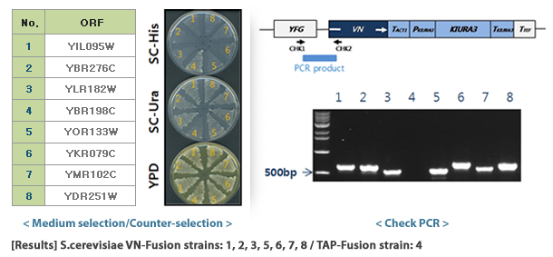 PCR validation