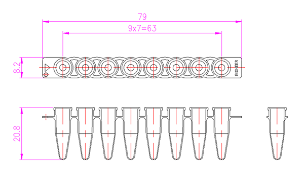 White8-tubePCRtube