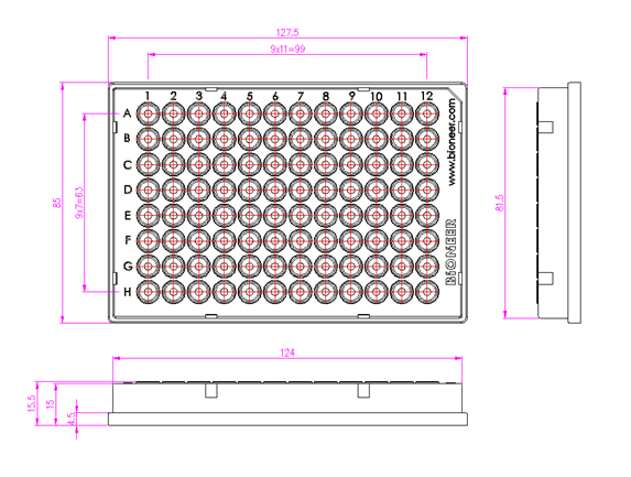 White8-tubePCRtube